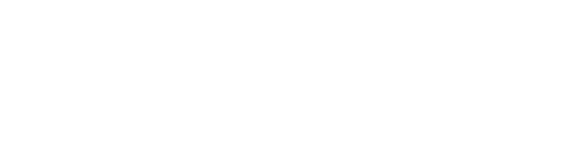 maverix-white.png